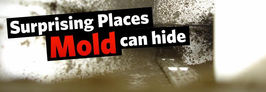 Surprising Places Where Mold Can Hide
