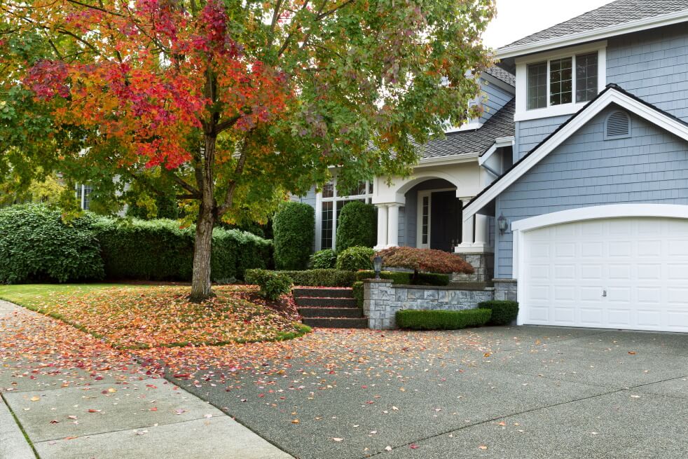 residential home in the fall