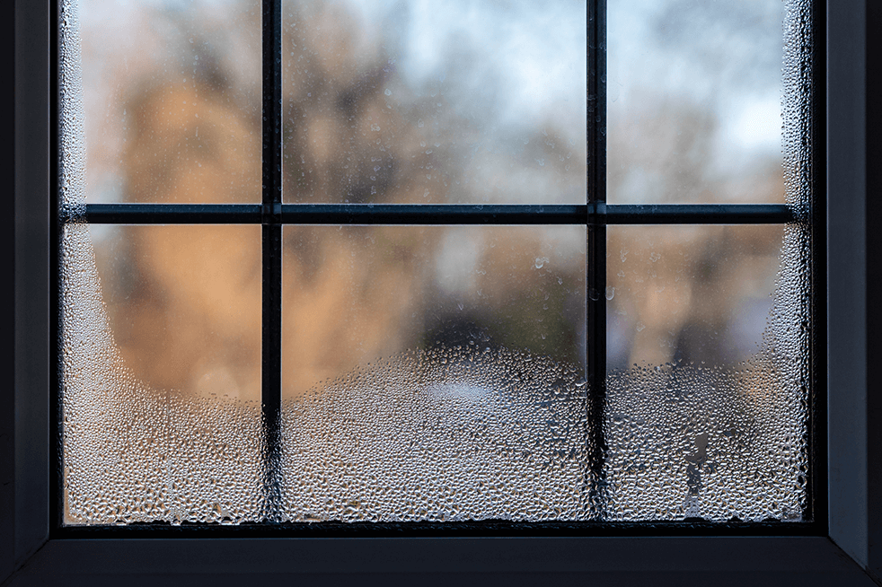 humid black framed window, dehumidifier