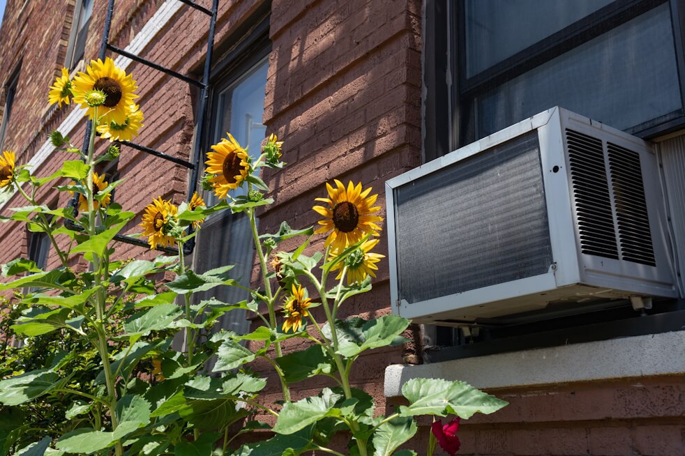 window ac unit surrounded by flowers
